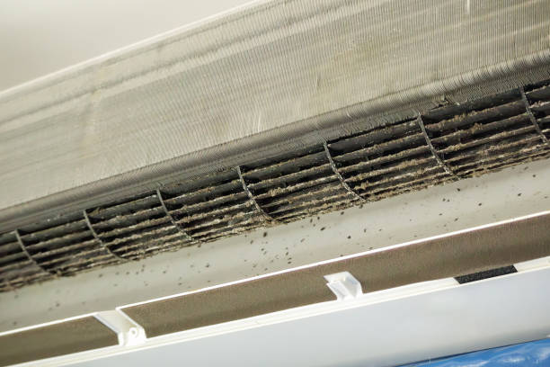 Best Air Vent Cleaning Services  in Haskell, TX